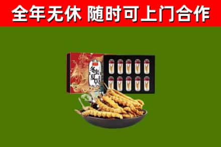 阿拉善右旗烟酒回收冬虫夏草礼盒.jpg